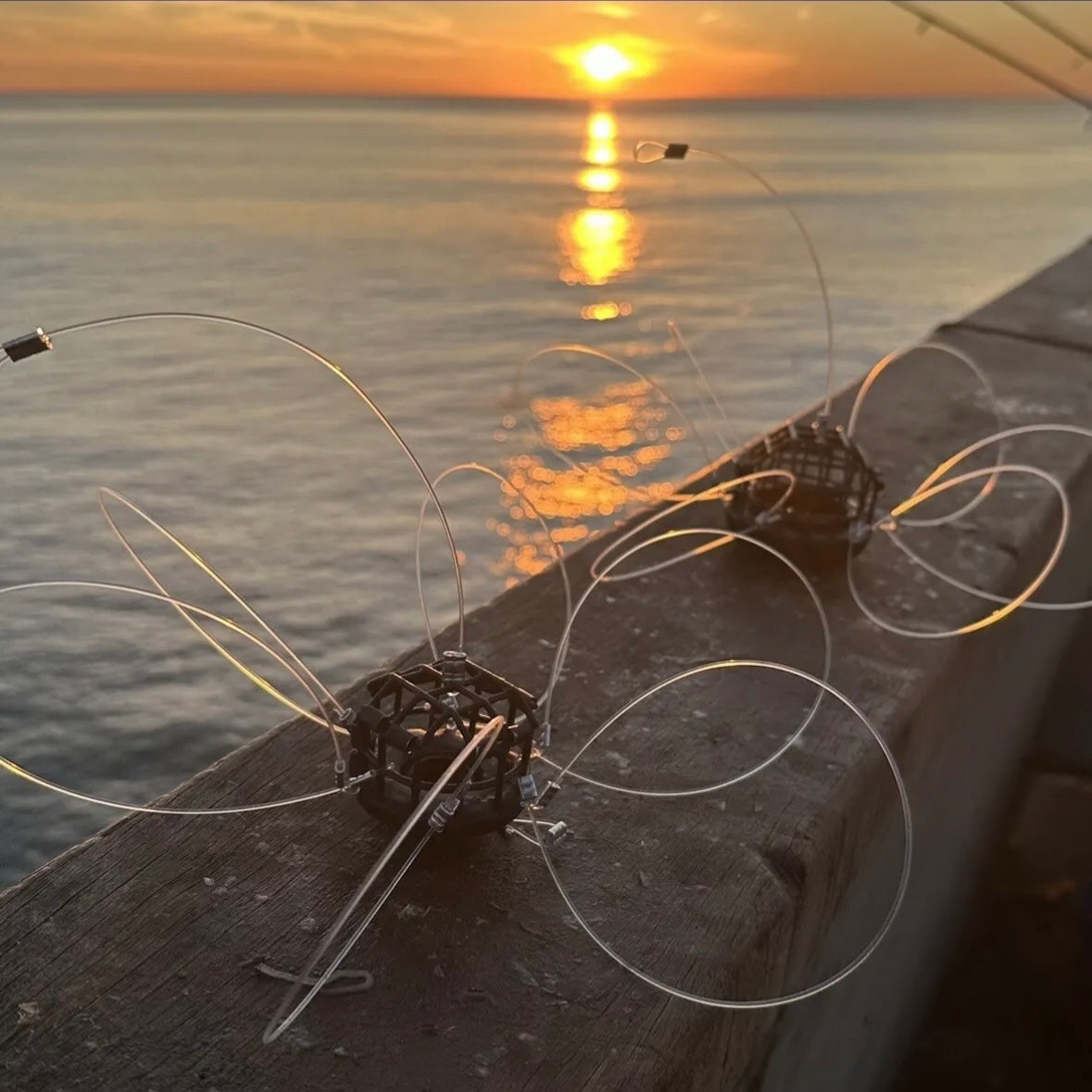 Hella Crabz Snare with Grommet 11oz