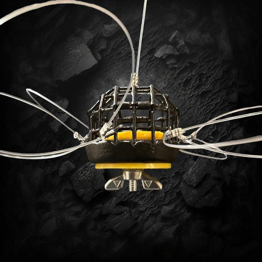 Expansion Plug Snare